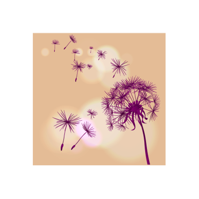 dandelion releasing pods