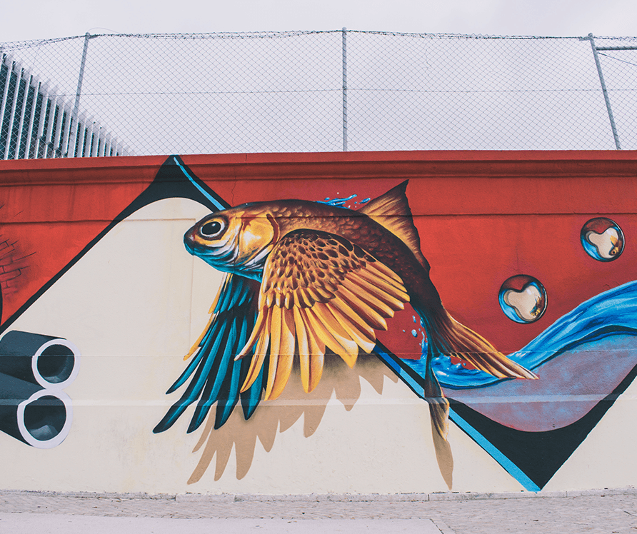 goldfish with wings graffitti